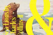 Mythical Romance Modern Display, a Serif Font by timelesstype.co (Thumbnail 4 of 20)