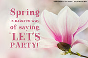 Magnolia Tree Rustic Font, a Serif Font by Beck McCormick (Thumbnail 4 of 10)