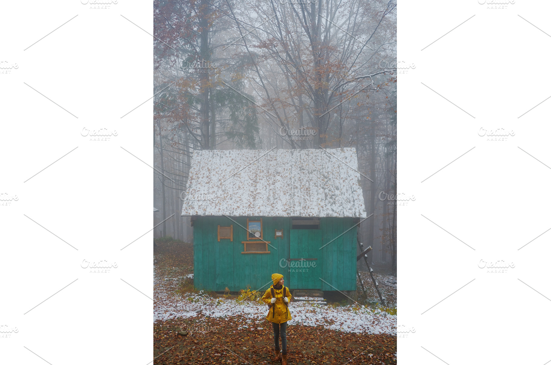 Misty morning in the woods, alone, a Person Photo by vitaliymateha photography