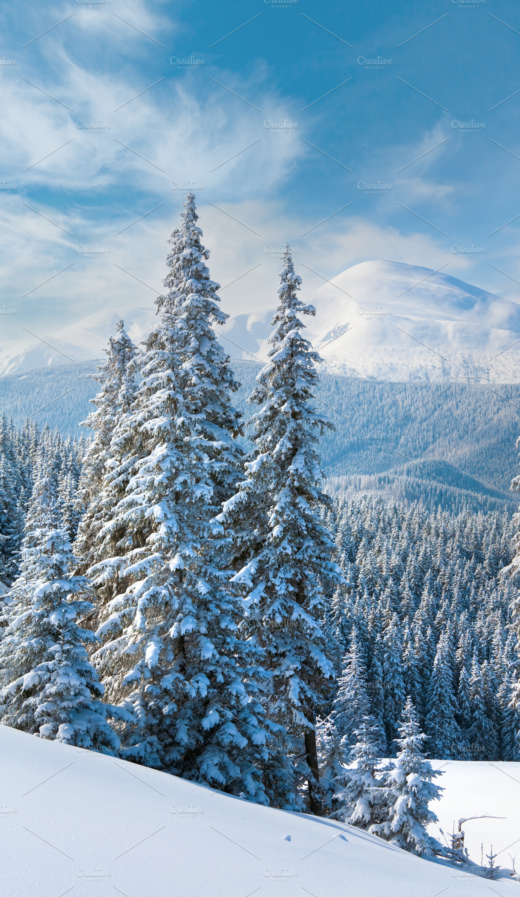 winter mountain landscape, a Nature Photo by YuriyB