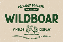 Wildboar - Vintage Display Font