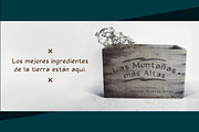 Norsanda | Multilingual Typeface, a Script Font by Angelo Knf | Anko Studio (Thumbnail 4 of 13)