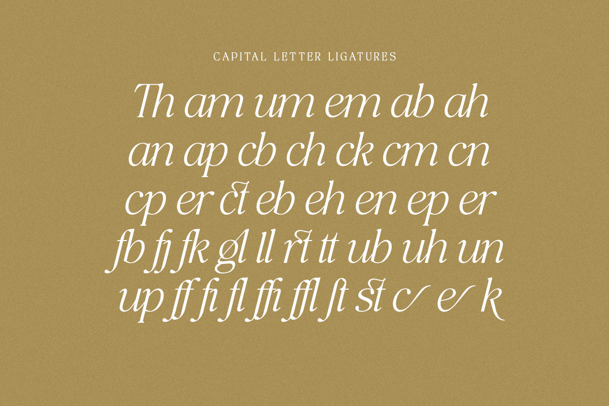 The Bilstein Editorial, a Serif Font by Pista Mova (Photo 17 of 20)
