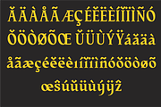 Evgen | Beauty and Strong Serif Font, a Font by PeanutButter Type (Thumbnail 8 of 13)