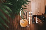 Radetta, a Script Font by PollemSt (Thumbnail 10 of 10)