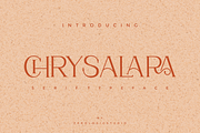 Chrysalara Serif Typeface, a Serif Font by zerologicstudio (Thumbnail 11 of 11)