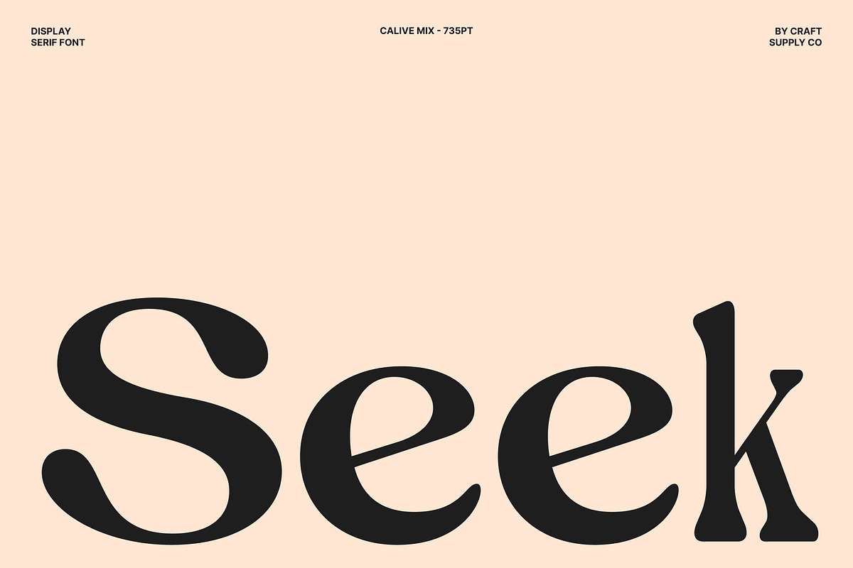 Calive Mix, a Sans Serif Font by Craft Supply Co. (Photo 2 of 8)