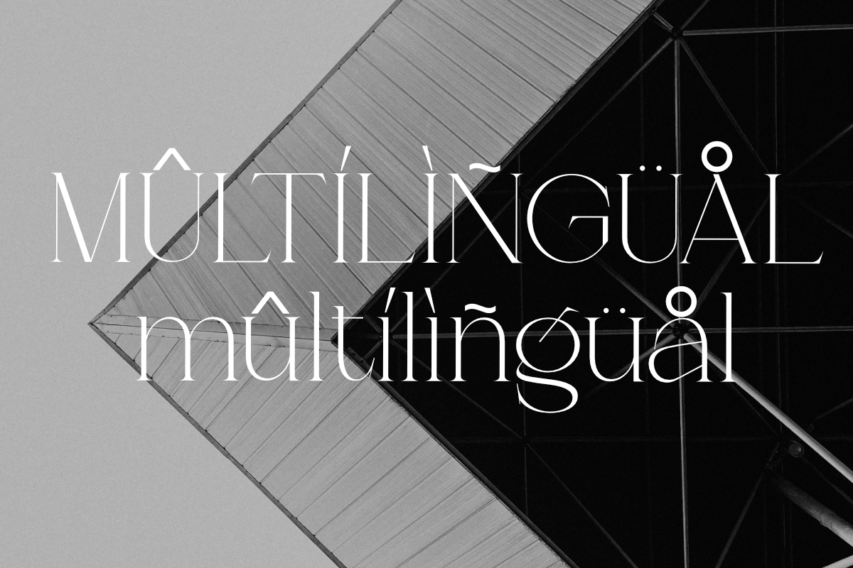 Lunévia Orliene Modern Serif, a Serif Font by Muksal Creative (Photo 10 of 10)