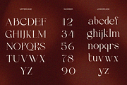 Velick, a Serif Font by zaaintype (Thumbnail 8 of 10)