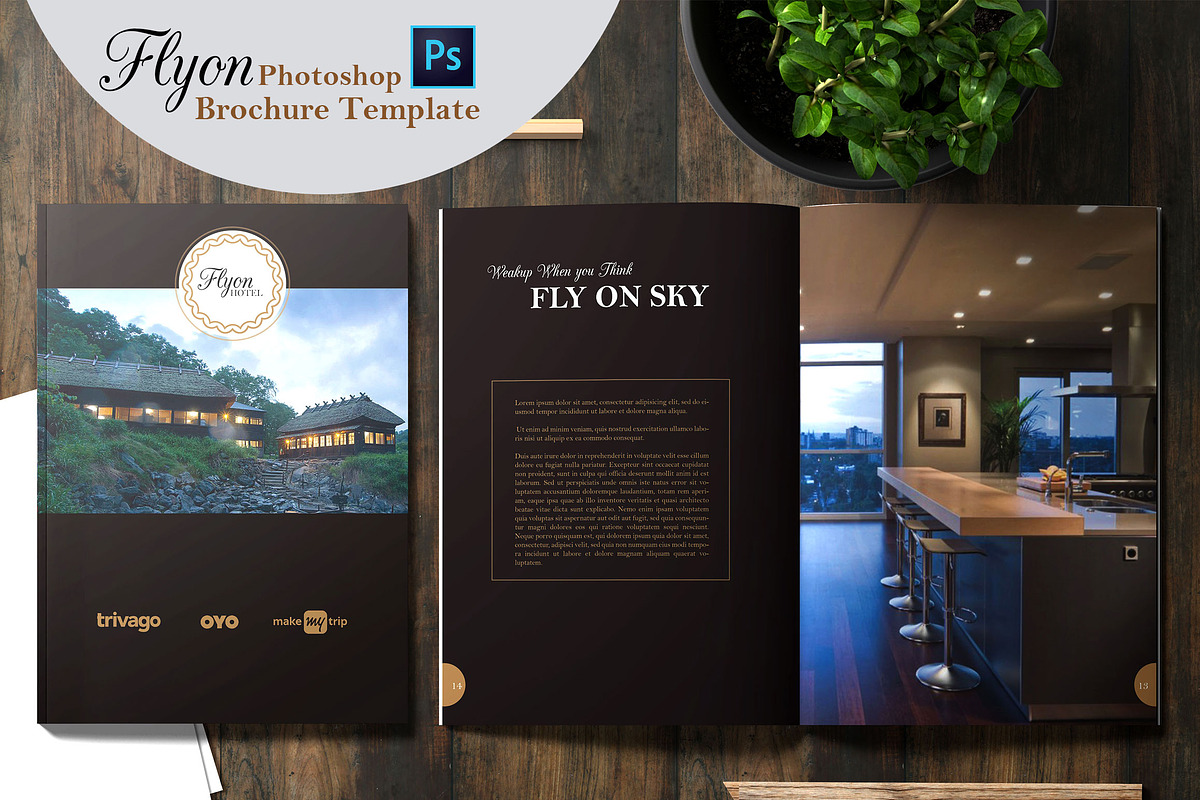 Flyon Brochure Photoshop Template, a Brochure Template by ORCOLOR (Photo 1 of 13)