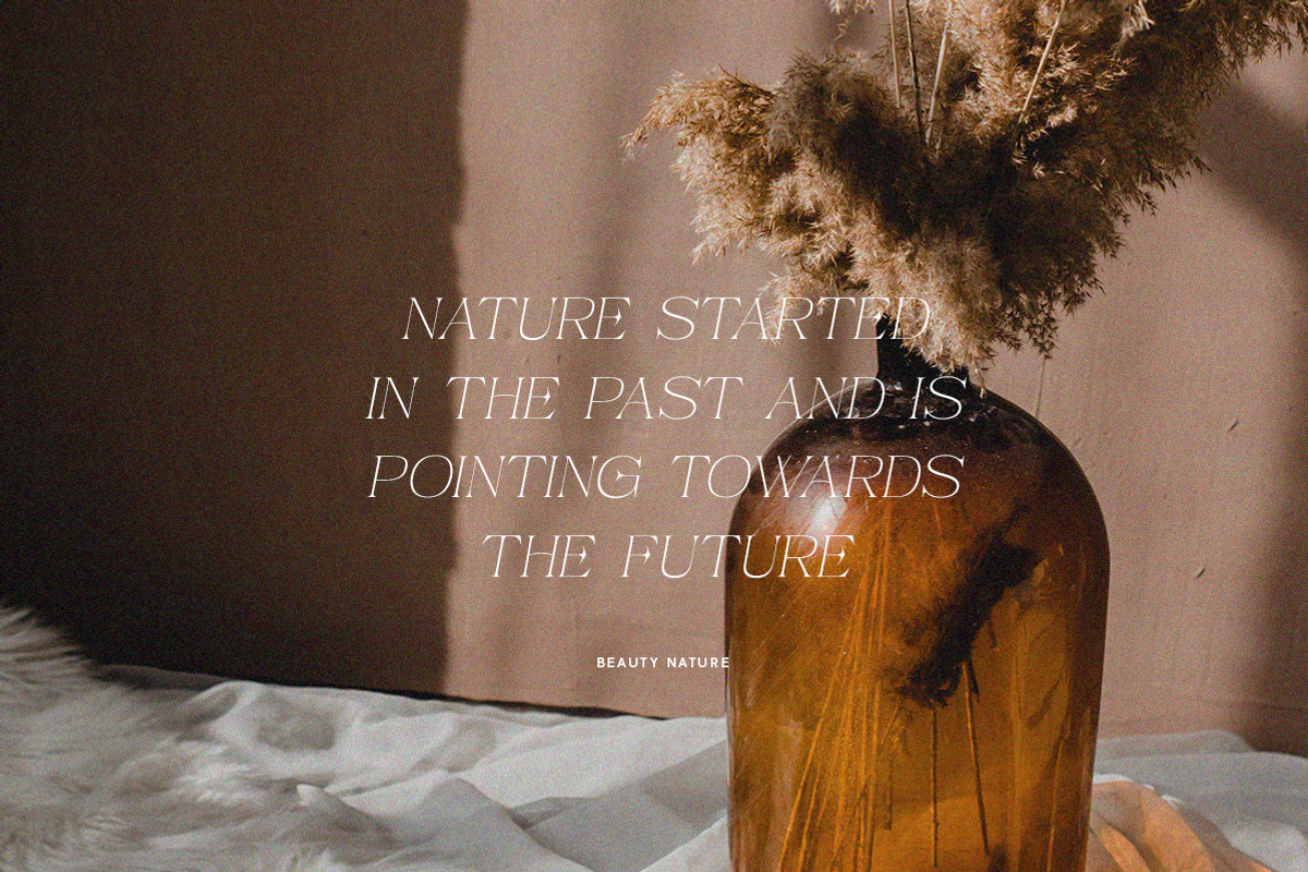 Pandora Emotion - Stylish Serif Fon, a Serif Font by Letterhend Studio (Photo 10 of 10)