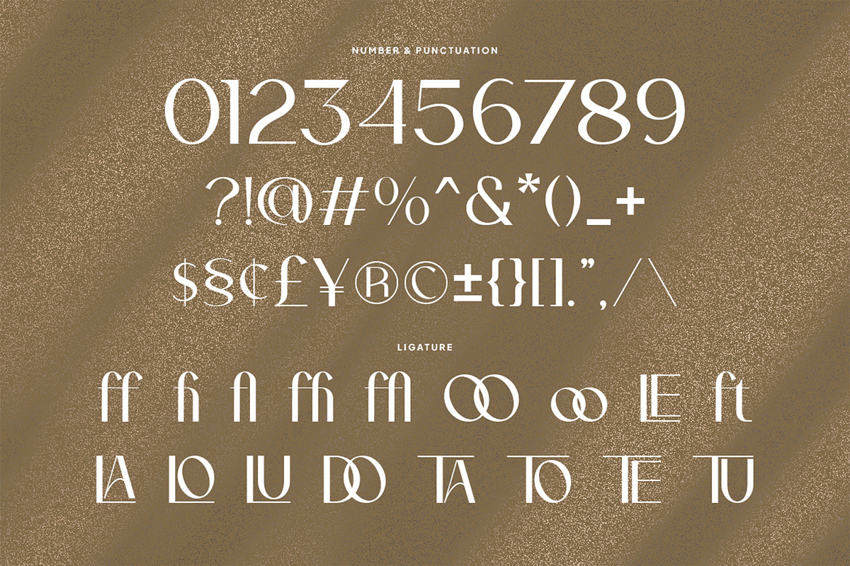 Legowo - Modern Elegant Font, a Sans Serif Font by Pekotype (Photo 4 of 16)