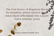 Kingcup - Editorial Display Sans, a Sans Serif Font by Fridaytype (Thumbnail 7 of 13)