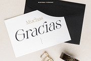 Wistenia Typeface, a Serif Font by Ivan Rosenberg (Thumbnail 11 of 18)