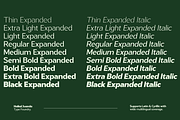 Gastrin, a Sans Serif Font by Pista Mova (Thumbnail 9 of 12)