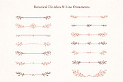 52 Botanical Frames & Ornaments, an Object Graphic by Christine Krahl (Thumbnail 6 of 8)