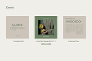 Avocado Canva Template, a Social Media Template by Moodwave Studio (Thumbnail 8 of 10)