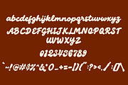 Ralgino Skate – Retro Script Font, a Script Font by Struggle Studio (Thumbnail 9 of 9)