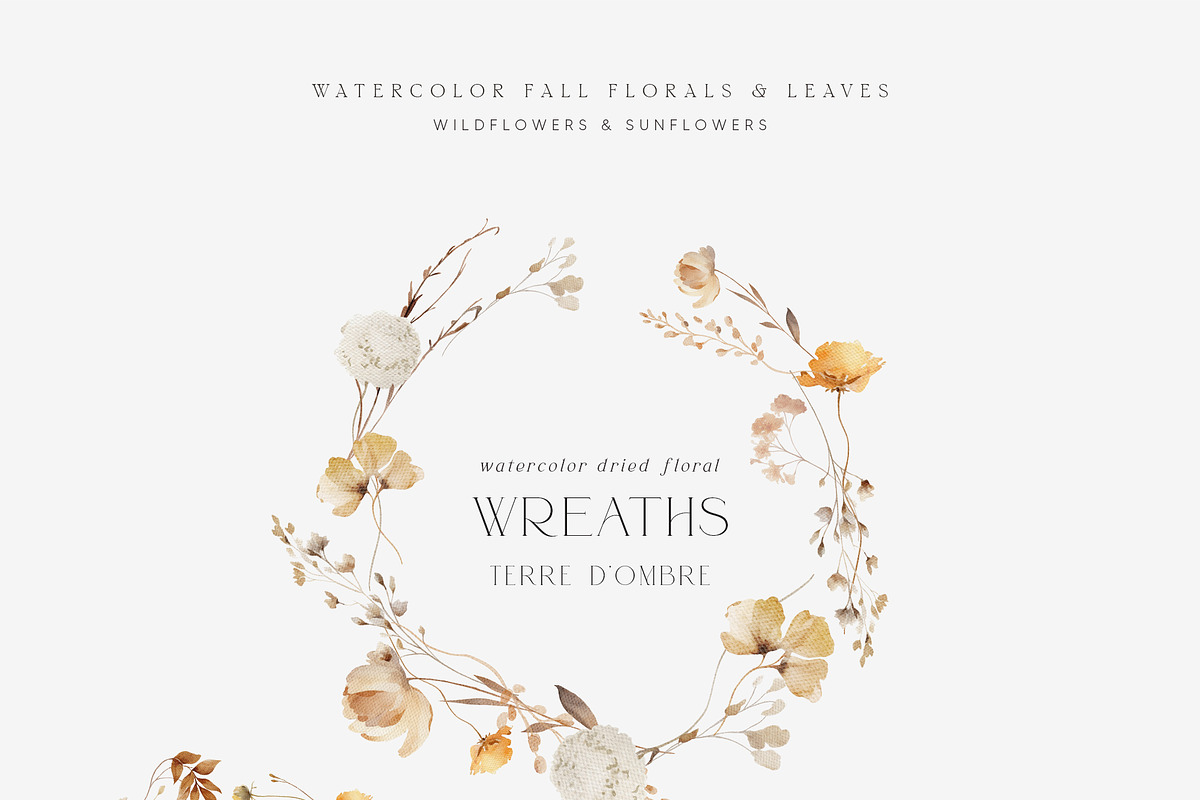 TERRE D'OMBRE Autumn Wildflowers, a Decorative Illustration by Muse Artist (Photo 6 of 13)