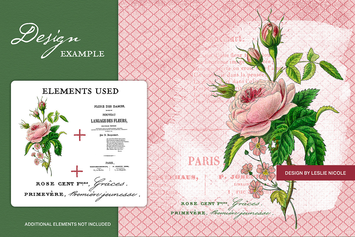 Flore des Dames Vintage French, an Illustration by French Kiss Collections (Photo 14 of 16)