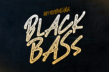 Black Bass