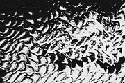 Scales and Fur, a Texture Graphic by Jennifer Lauren Creative (Thumbnail 9 of 26)
