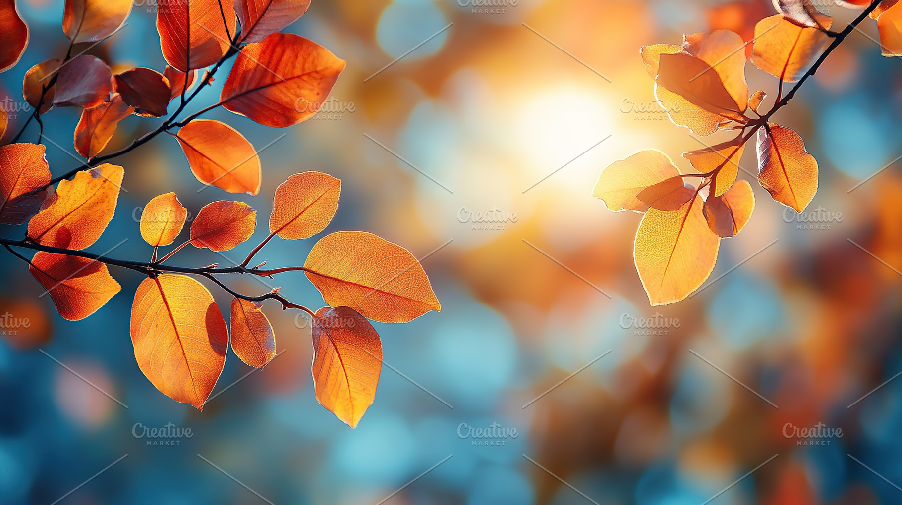 Orange leaves on tree branch in autumn city park with sunrays, a Nature Photo by AlyaAnd
