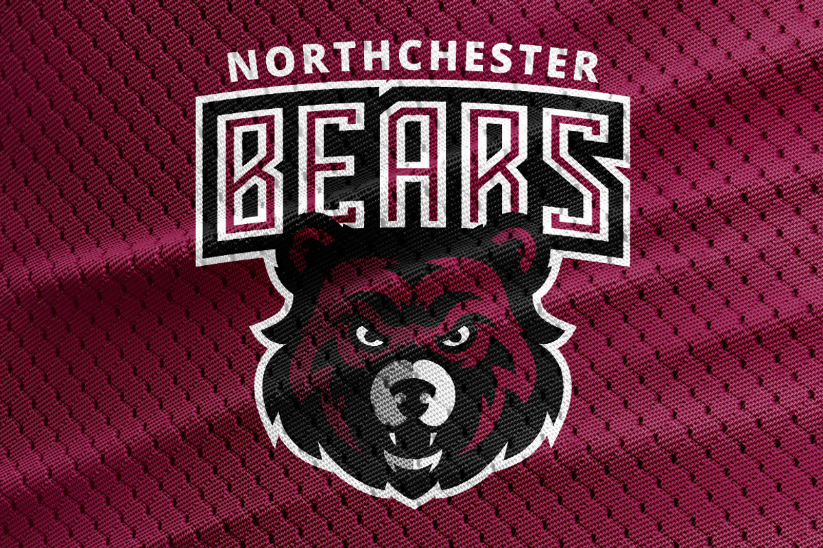 Bears logo, a Graphic by Varsity Logos (Photo 1 of 2)