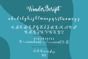 Wonder Script Fun Business Font