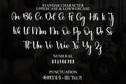 Satuday, a Handwritten Font by FreshTypeINK (Thumbnail 3 of 7)