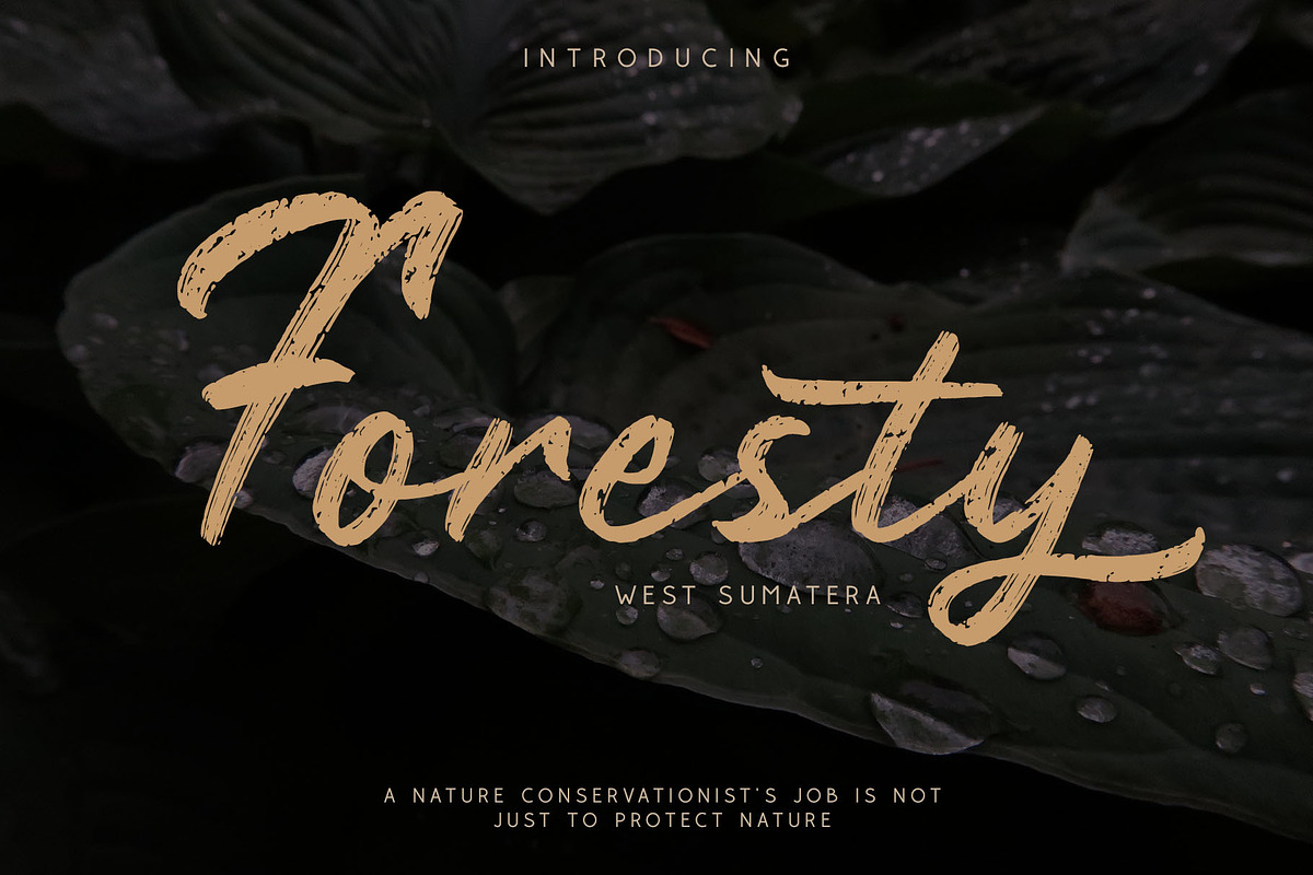 Rustyne - Rustic Script Font preview 7