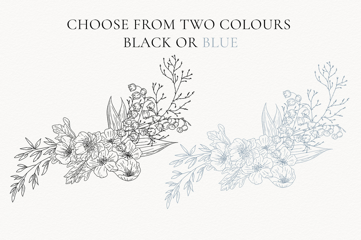 Birth Month Flowers SVG - PNG, a Decorative Illustration by AW Studios (Photo 3 of 11)