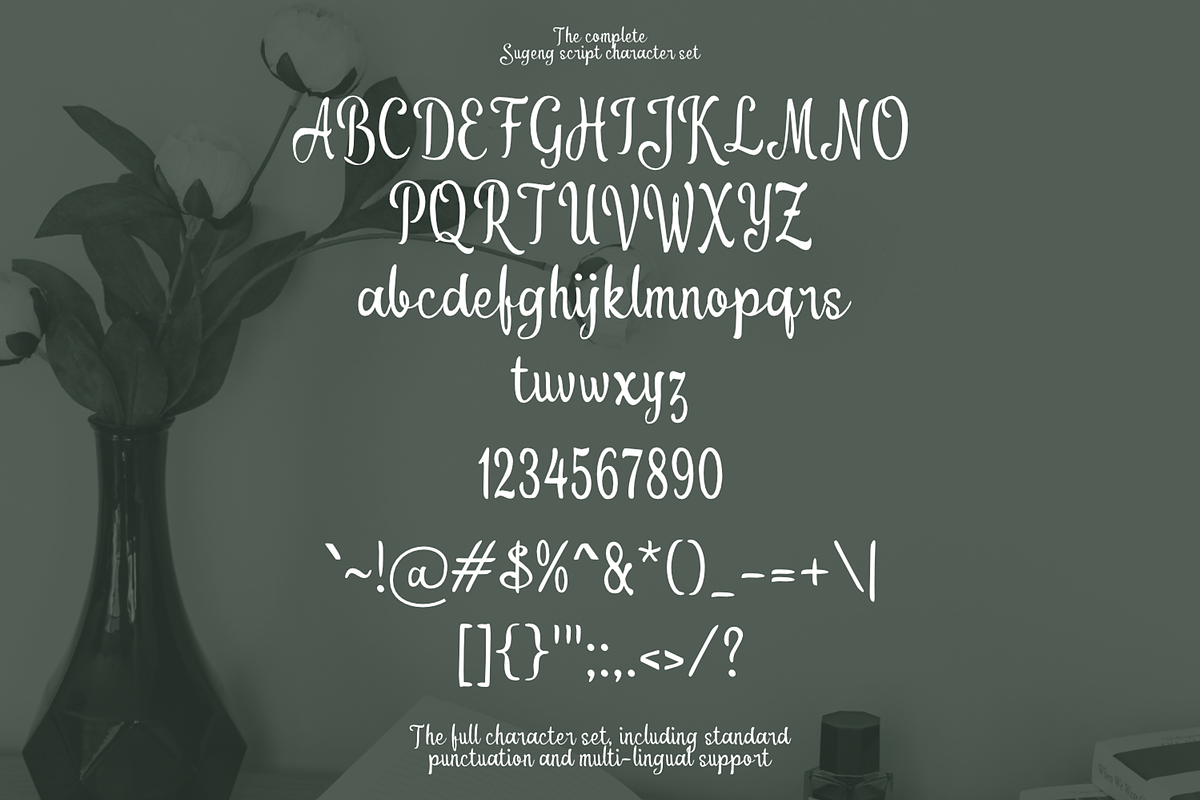 Sugeng Script Handwritten Font, a Script Font by mesuka (Photo 5 of 5)