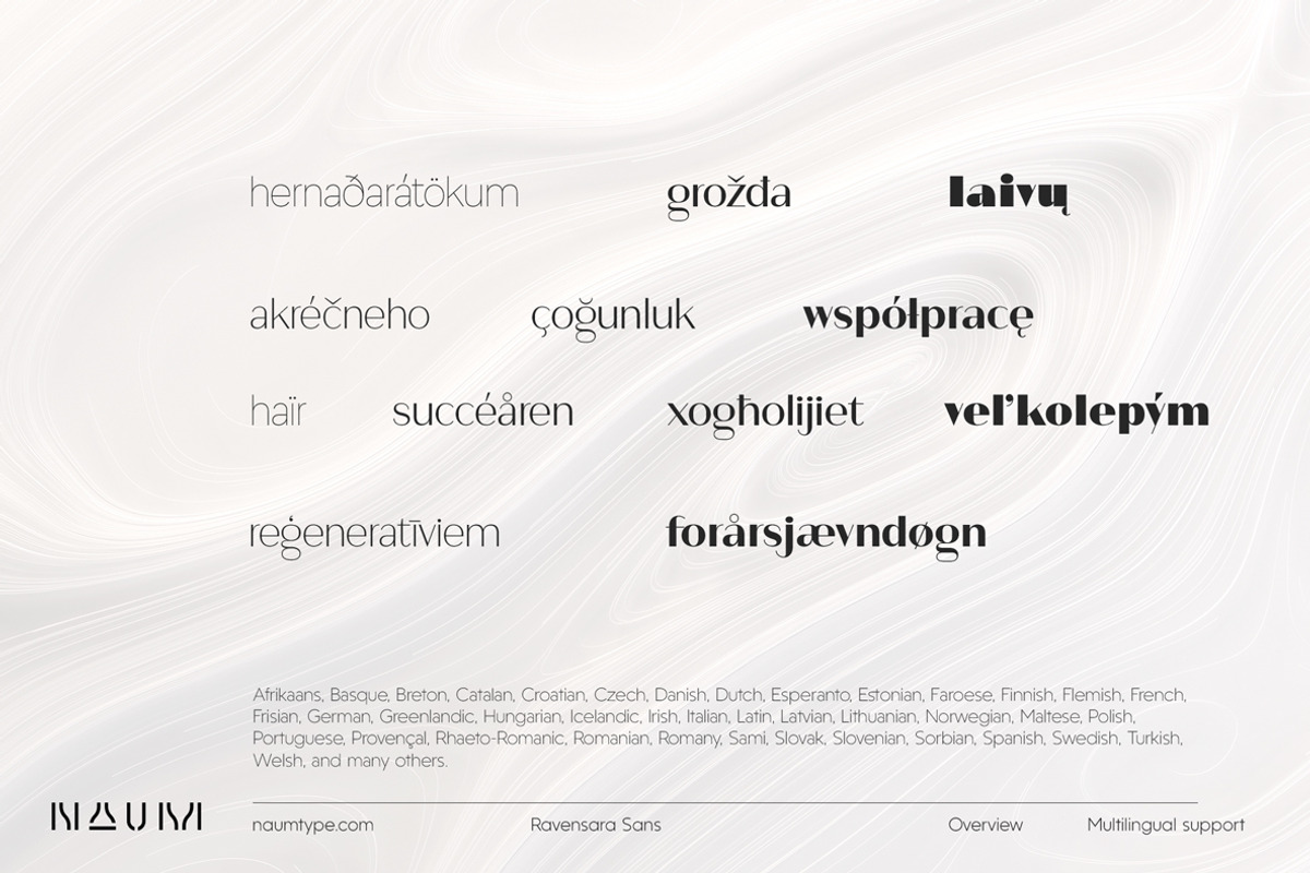Ravensara Sans | 7 fonts, a Sans Serif Font by NAUM (Photo 3 of 6)