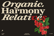 ZT Otez Retro Serif - 90 fonts, a Serif Font by zelow type (Thumbnail 8 of 15)