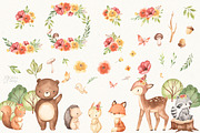 WOODLAND ANIMALS. Watercolor, an Animal Illustration by OlliArtDesign (Thumbnail 3 of 7)