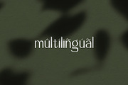 Zesant, a Sans Serif Font by Drizy (Thumbnail 9 of 11)