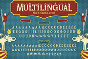 Broteli, a Serif Font by Artisan Themes (Thumbnail 9 of 10)