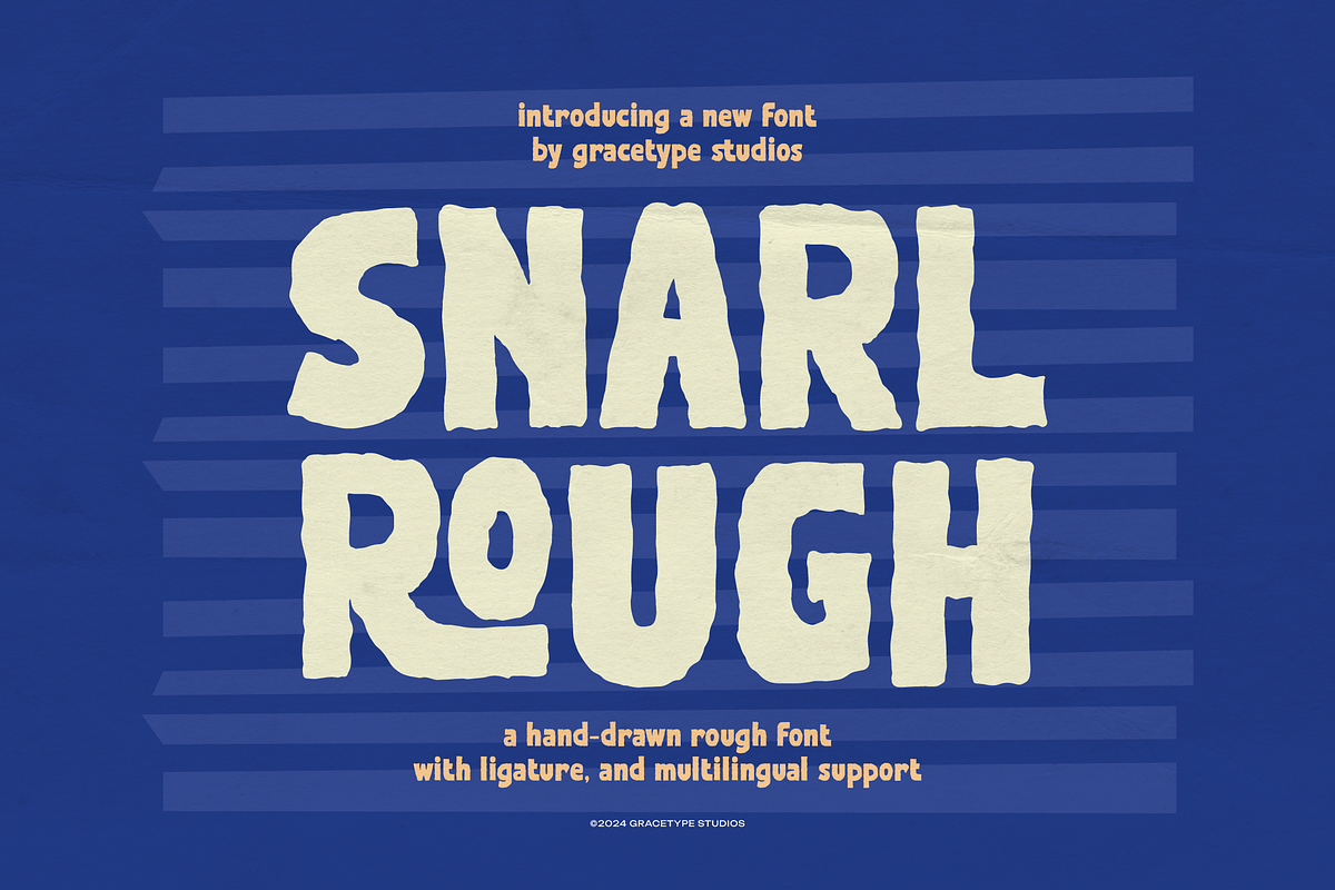 Snarl Rough | Hand Drawn Rough Font, a Handwritten Font by gracetype_studio (Photo 1 of 12)