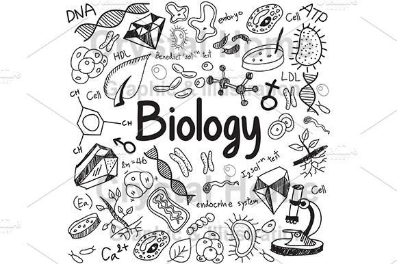 Biology Education Doodle Icon
