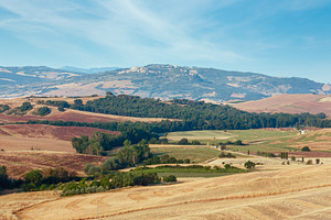 Morning countryside, Italy, a Nature Photo by YuriyB