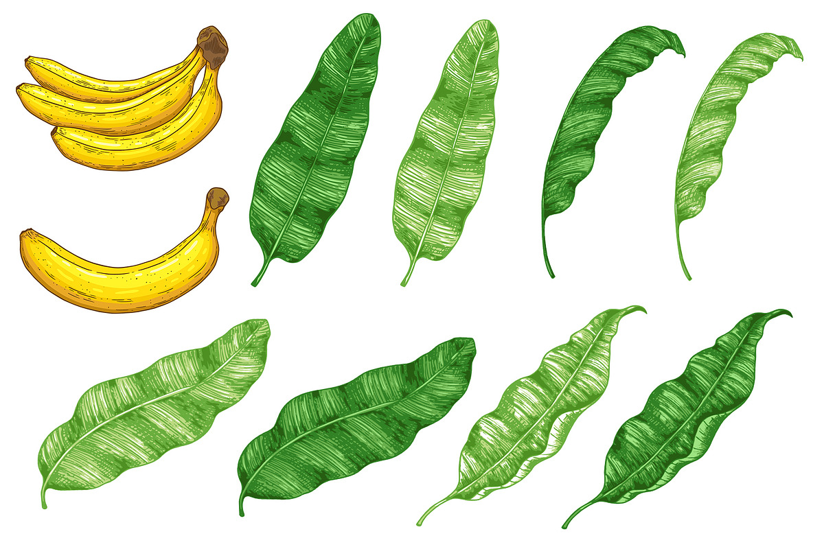 Banana Design Kit, a Decorative Illustration by Artspace (Photo 2 of 5)