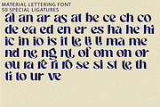 Material Lettering - Luxury Serif, a Serif Font by 177Studio (Thumbnail 9 of 9)