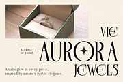 Plavor – Timeless Elegant Serif Font, a Serif Font by roomspace creative lab (Thumbnail 6 of 11)
