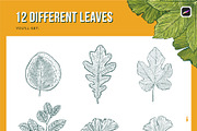 12 Leaf Procreate Stamp Brushes, a Brush Add-On by Riveros Illustration (Thumbnail 3 of 11)