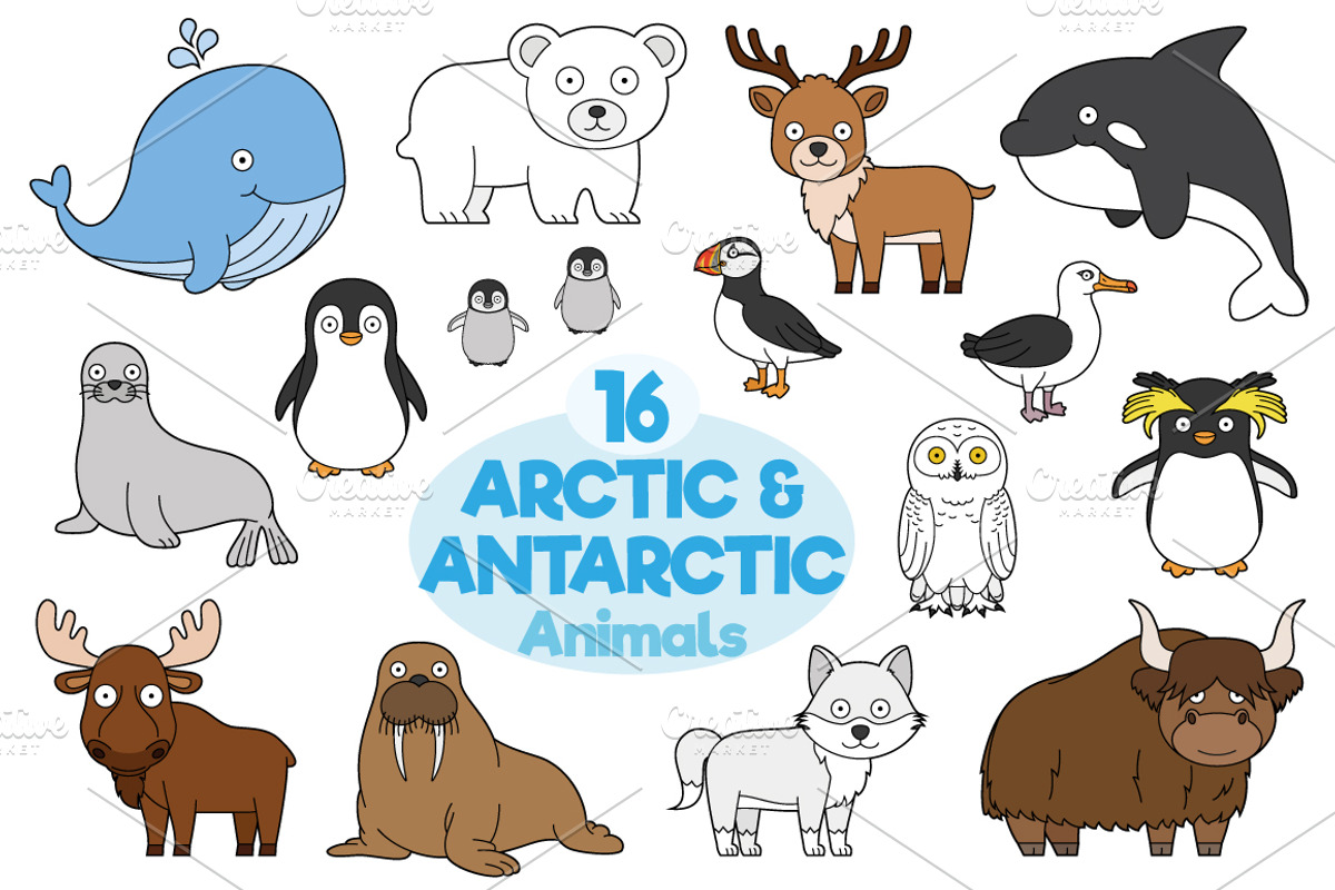 16x Arctic and Antarctic Animals, an Animal Illustration by asantosg (Photo 1 of 8)