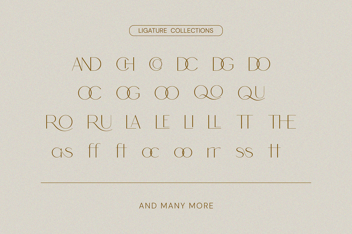 Cherla - Clean & Visual Elegance, a Sans Serif Font by BOOSH Studio (Photo 13 of 14)
