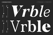 TT Regins, a Serif Font by TypeType (Thumbnail 5 of 15)