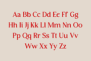 Dramtical The Display, a Serif Font by RockboyStd (Thumbnail 9 of 12)