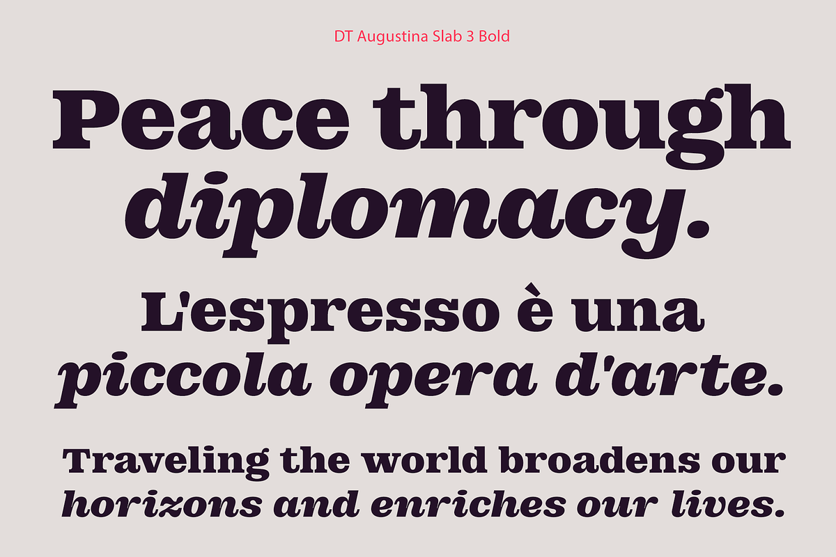 DT Augustina Slab 3 Subfamily, a Slab Serif Font by Deveze Type Foundry (Photo 14 of 31)
